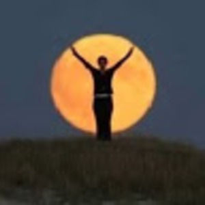 Meet your Posher, Holly